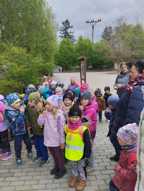 Výlet za včelkami do Mikulovic 18. 4. 2024